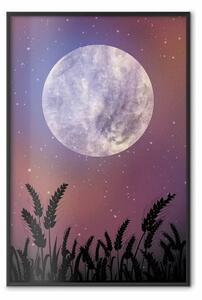 Poster: Notte in campagna - paesaggio di prato su cielo stellato e luna chiara