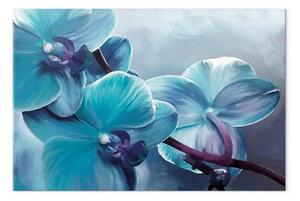 Quadro su tela Orchidee da vicino - petali turchesi dei fiori