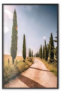 Poster: Cipressi italiani - paesaggio di sentiero con alberi su cielo blu