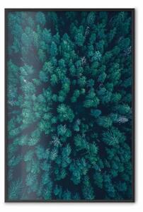 Poster: Viaggio meraviglioso - vista aerea di composizione forestale
