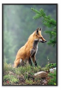 Poster: Cacciatore rosso - animale in foresta