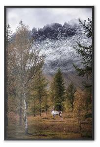 Poster: Ospite autunnale - animale tra alberi