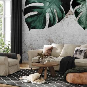 Carta da parati moderna Faccia di Monstera - composizione con foglie verdi e muro di cemento