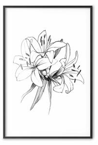 Poster: Fiori disegnati - schizzo nero di fiori su bianco contrastante