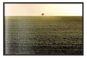 Poster: Autunno al mattino - paesaggio di campo su tramonto
