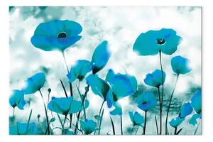 Quadro su tela Papaveri smeraldo - fiori sotto un cielo blu