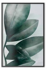Poster: Foglie di olivo - composizione vegetale di foglie verdi su chiaro
