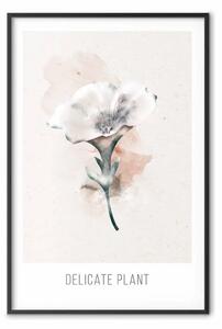 Poster: Pianta delicata - fiore chiaro su sfondo beige