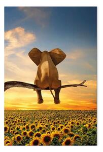 Quadro moderno Elefante e girasoli - fantasia al tramonto