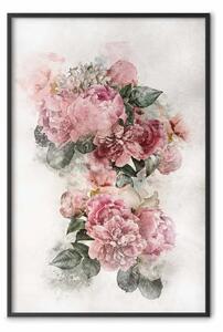 Poster: Peonie in fiore - acquerello di fiori su sfondo grigio