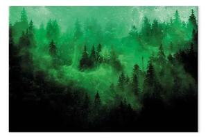 Quadro Nebbia magica - terza variante - paesaggio forestale verde