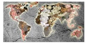Quadro contemporaneo Continenti in fiore - Mappa del mondo con diverse fioriture