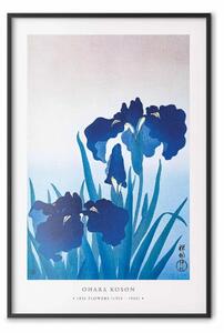 Poster: Ohara Koson - Iris blu