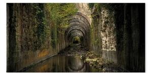 Quadro contemporaneo Tunnel a Orbaitzeta - paesaggio con motivo floreale