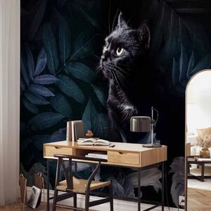 Carta da parati moderna Motivo animale - gatto nero circondato da foglie e fiori blu