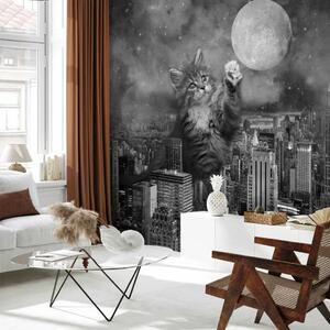Carta da parati Gatto a New York - gatto su sfondo di città e luna in ombre grigie
