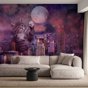Carta da parati moderna Gatto a New York - motivo viola di un gatto su sfondo di città e luna