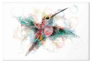 Quadro moderno Colibrì colorato largo - uccello multicolore per bambini