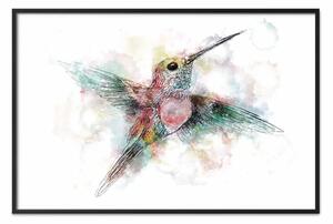 Poster: Colibrì colorato - uccellino pastello con macchie colorate su sfondo chiaro