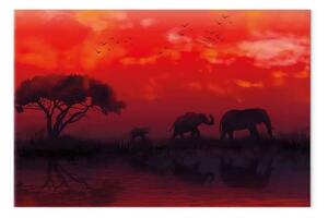 Quadro moderno Paesaggio africano largo - elefanti e cielo rosso