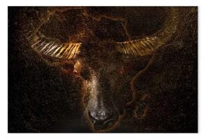 Quadro Bufalo africano largo - imponente animale su sfondo nero