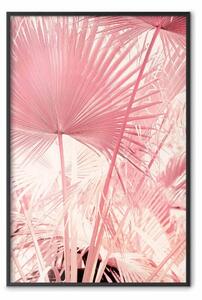 Poster: Palme rosa - foglie colorate in una giornata di sole