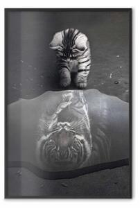 Poster: Animale predatore - fotografia del gatto con il riflesso di una tigre