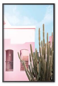 Poster: Miami cactus - casa di vacanza rosa contro il cielo blu e la luce