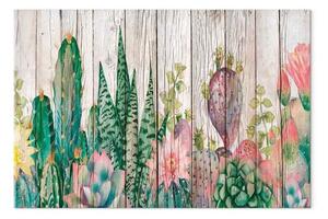 Quadro Cactus - piante su sfondo legno chiaro vintage