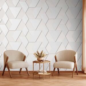 Carta da parati Forme Geometriche - Composizione Minimalista in Colore Chiaro
