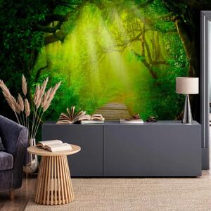 Carta da parati moderna Angolo magico con alberi - paesaggio di sentiero illuminato dal sole