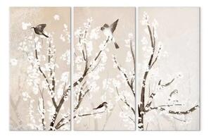 Quadro su tela Alberi e uccelli (3 parti) - fiori bianchi sui rami