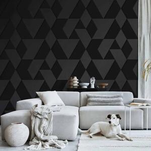 Carta da parati moderna Forme Geometriche - Composizione Minimalista in Colore Scuro