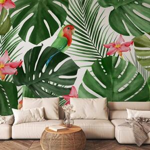 Carta da parati moderna Monstera - Foglie Esotiche Verdi e Colorati Pappagalli tra Fiori