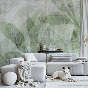 Carta da parati Astrazione di Ombre - Figure e Contorni delle Foglie - Verde