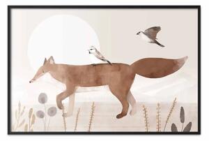 Poster: Volpe e uccelli erranti - animali notte