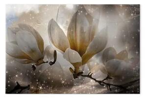 Quadro Magnolia in seppia - albero in fiore tra scintille di stelle