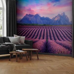 Carta da parati Vista dei sogni - campo di lavanda viola con cielo e montagne