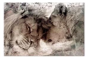 Quadro moderno Leoni innamorati - amore animale nei colori neutri