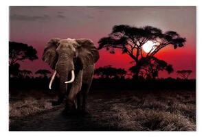 Quadro moderno Safari africano - terzo variazione - elefante