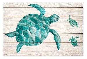 Quadro Tartarughe - creature marine smeraldo su sfondo di tavole