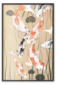 Poster: Carpa Koi - carpa giapponese dipinta che galleggia tra le alghe