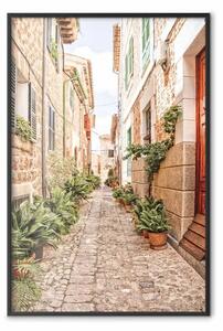 Poster: Una strada tranquilla - veduta di edifici storici e vegetazione