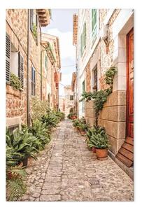 Quadro Calle tranquila - vista sulla città spagnola e piante