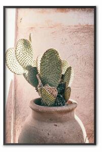 Poster: Cactus in vaso - pianta di conifere in un vaso di argilla
