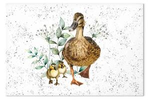 Quadro Famiglia di anatre - simpatico sfondo dipinto a macchie con animali