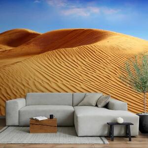 Carta da parati Deserto - dune ondulate e sabbia calda contro un cielo blu