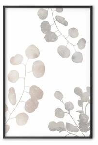 Poster: Composizione eucalipto - foglie ramoscelli