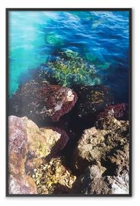 Poster: Spiaggia rocciosa - fotografia di sassi colorati e acqua blu