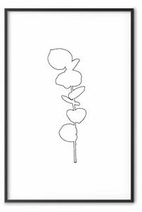 Poster: Eucalipto grafico - disegno minimalista di una foglia in stile lineare